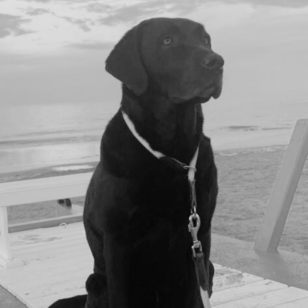 Mascotte
